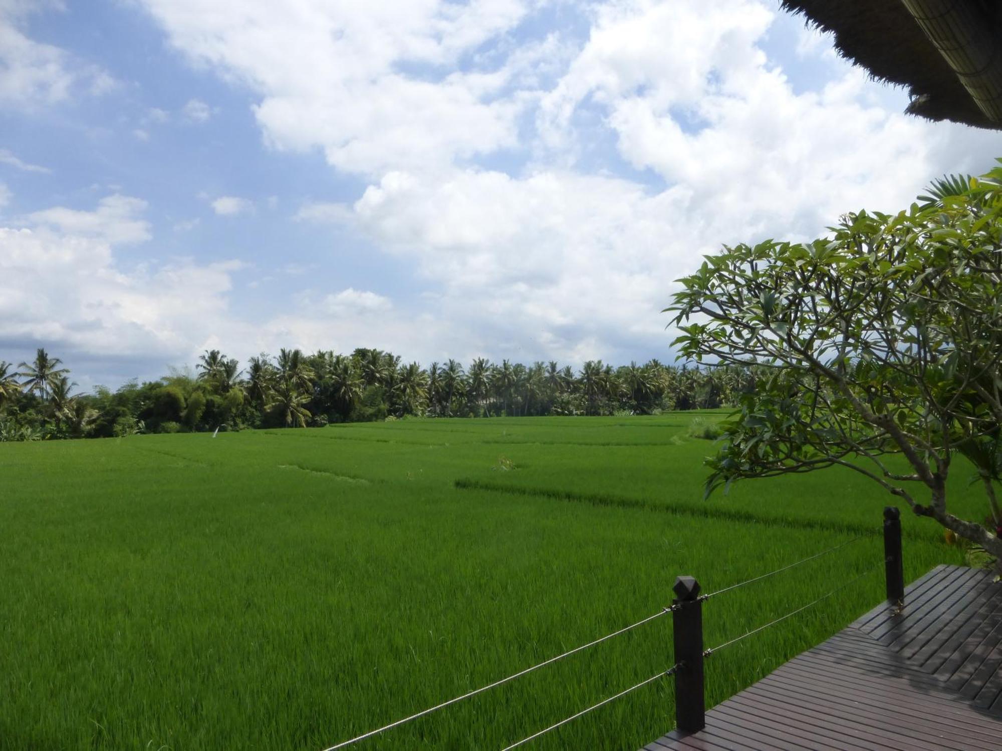 Bali Harmony Villa Ubud Quarto foto
